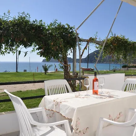 Elias & Vasili House